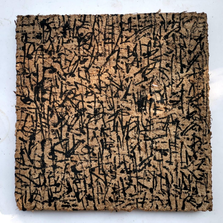 ©franyo aatoth2024, série Botanyka, peintures à l'huile sur toile, 2024